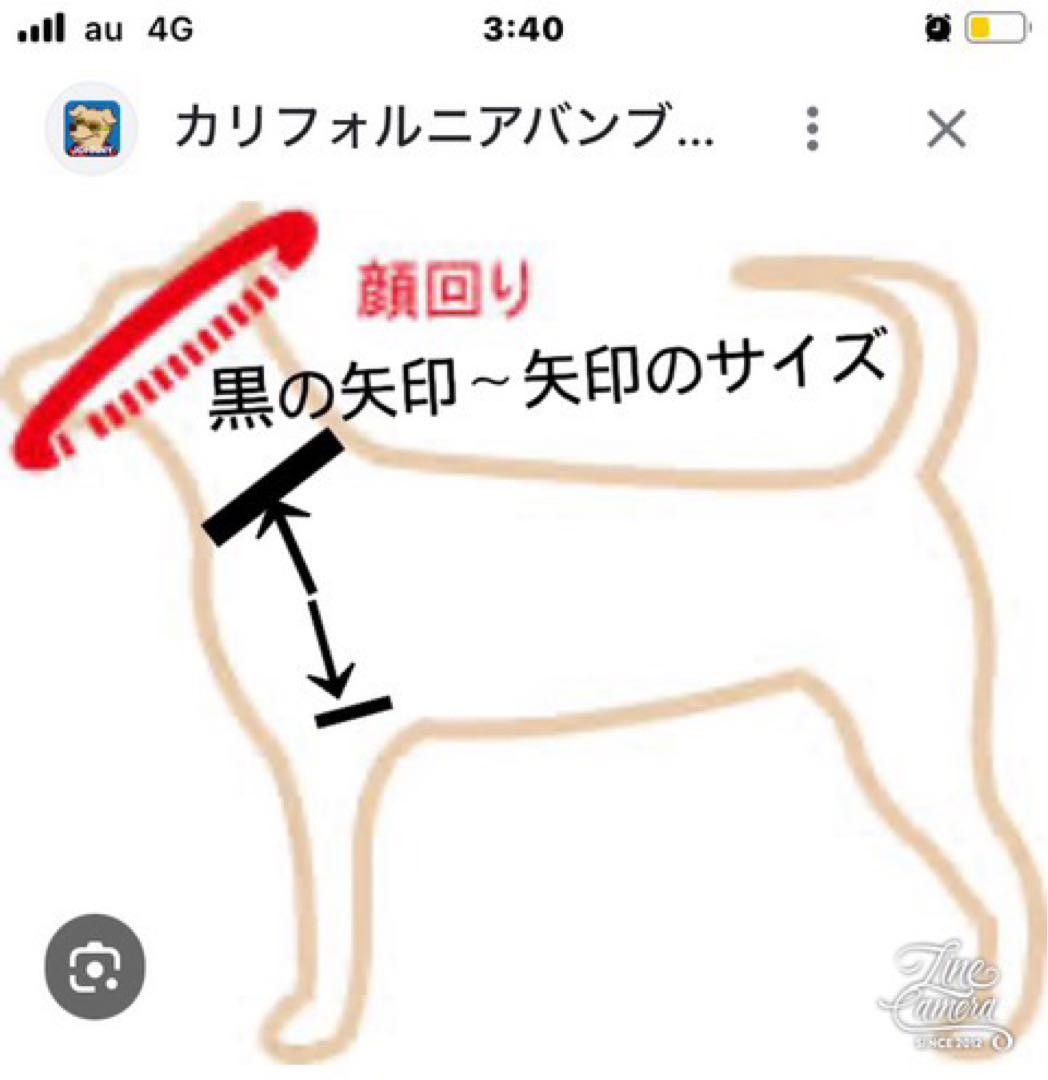 B412.pon2pan2☆オーダー☆犬2ウェイお着物☆犬着物