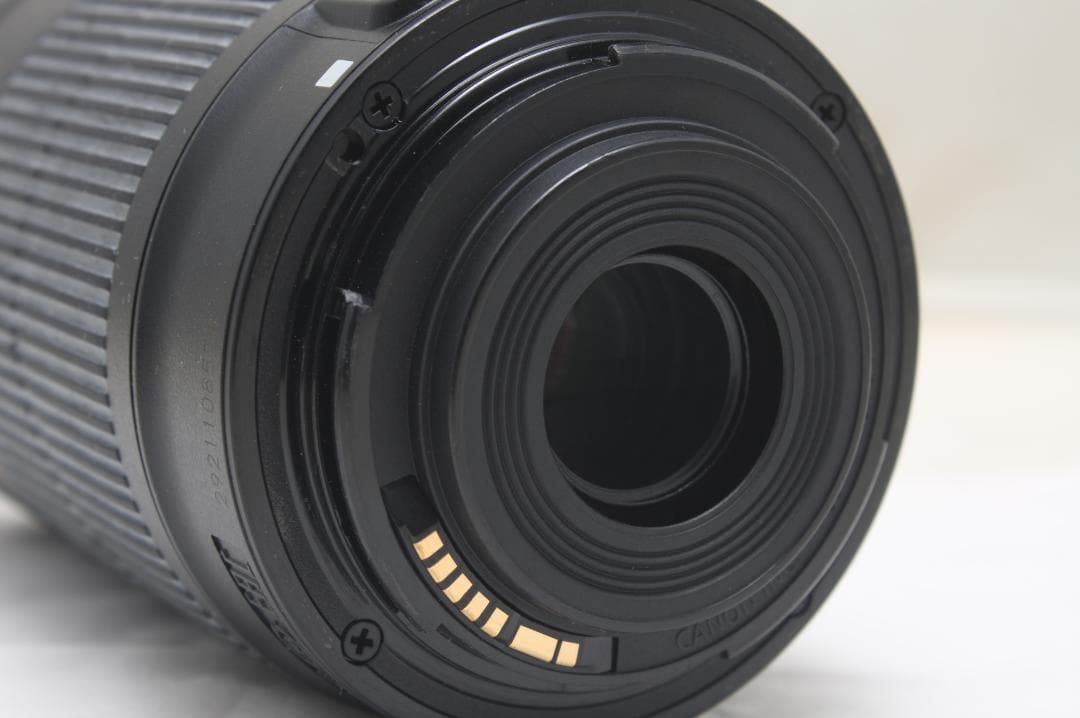 キヤノン EF-S 55-250mm F4-5.6 IS STM 8538