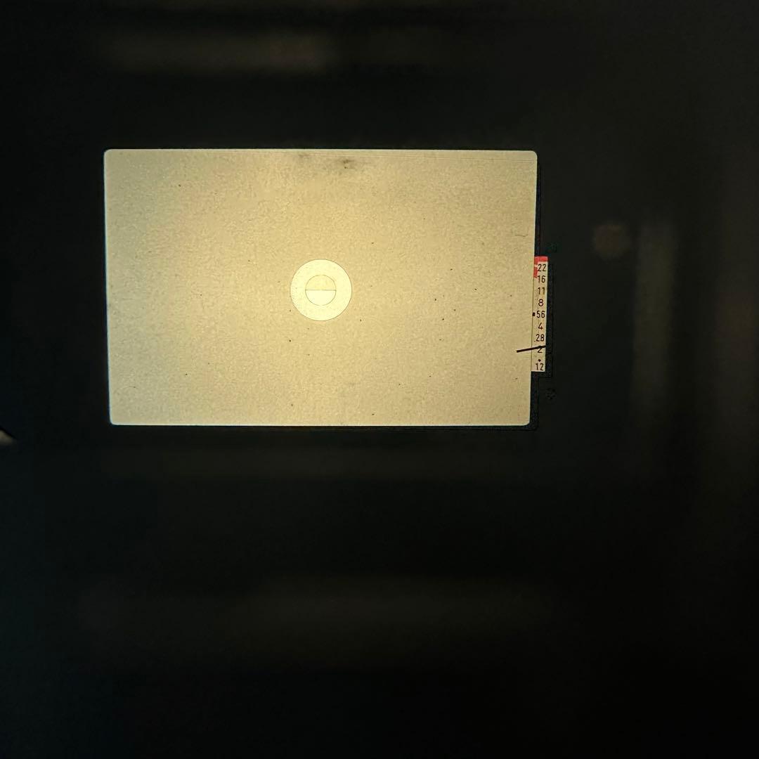 【撮影済み】Canon AE-1 フィルムカメラ 70-200mmレンズ付き