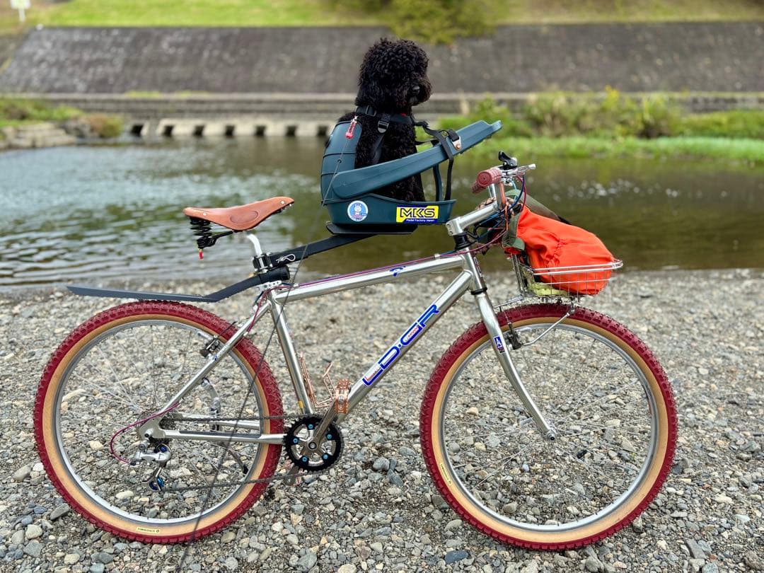 【最終値下げ】バディーライダー　Buddy Rider