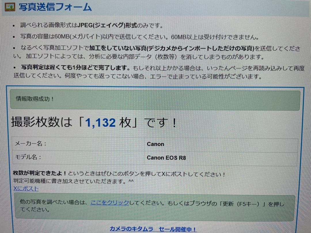 【桜さん専用】Canon EOS R8