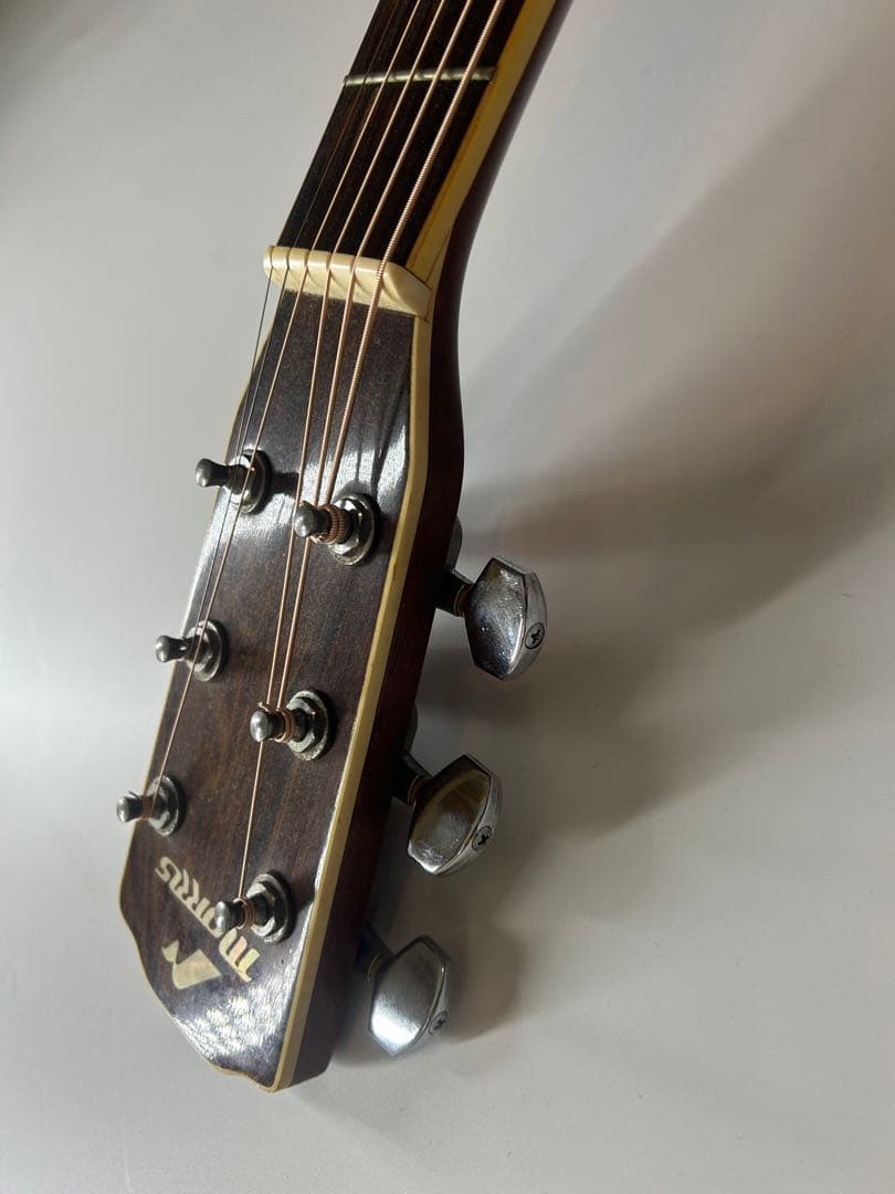 Morris m-501 アコースティックギター