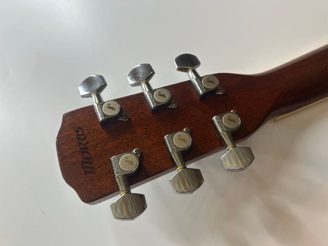 Morris m-501 アコースティックギター