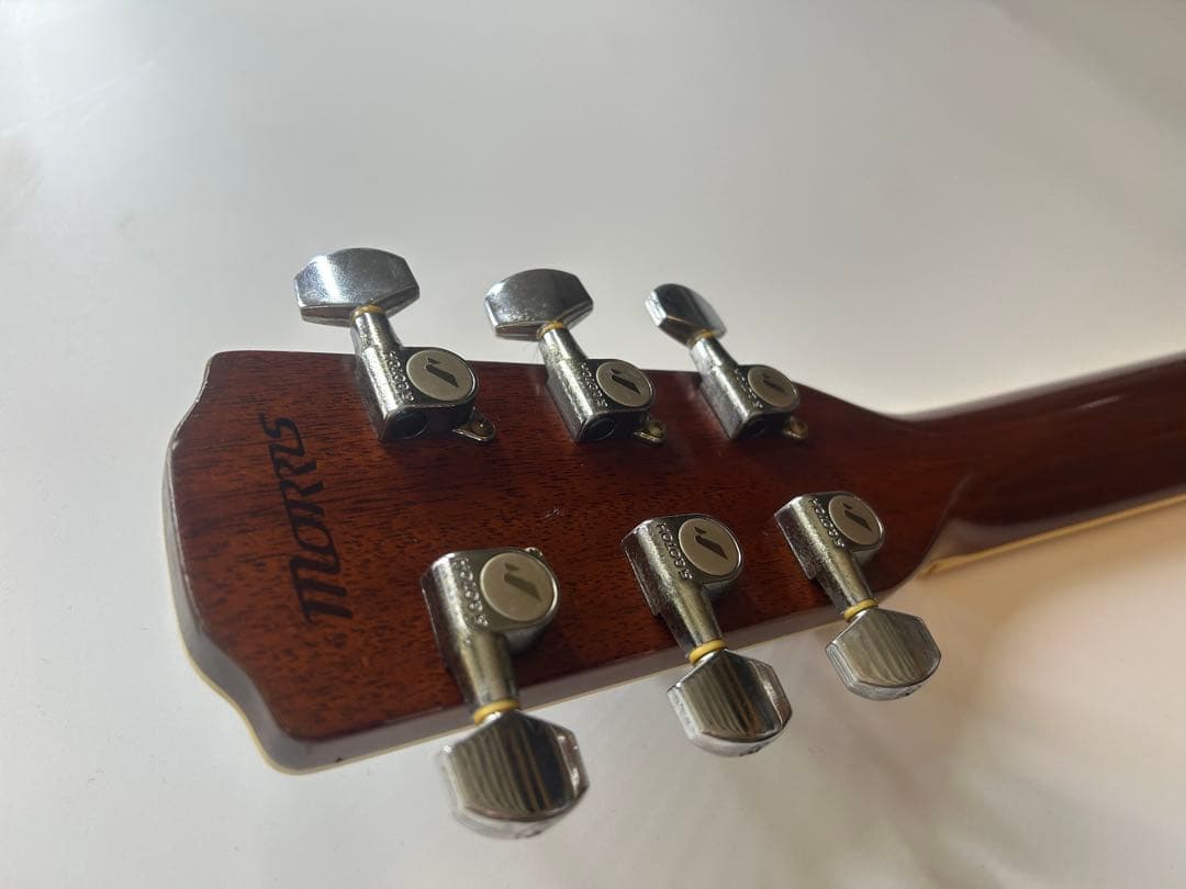Morris m-501 アコースティックギター