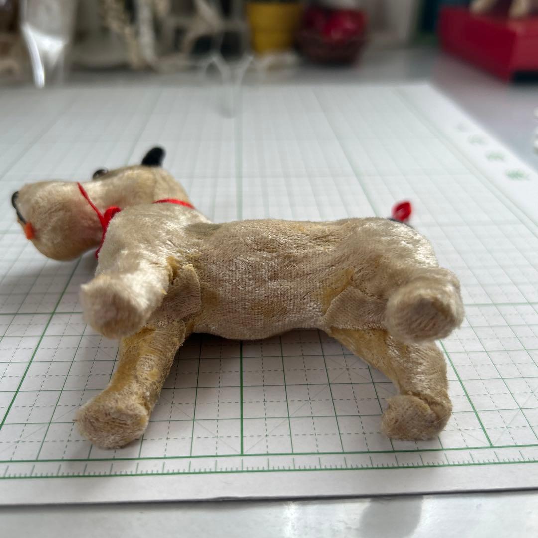 ビンテージフォックステリア