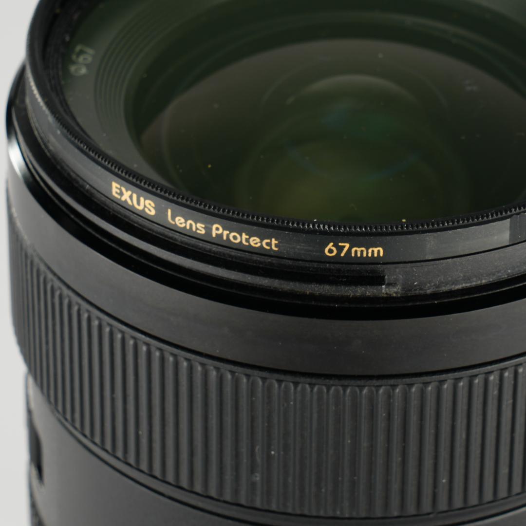 極美品 SEL24F14GM SONY F1.4 GM 星景 動画 フィルター