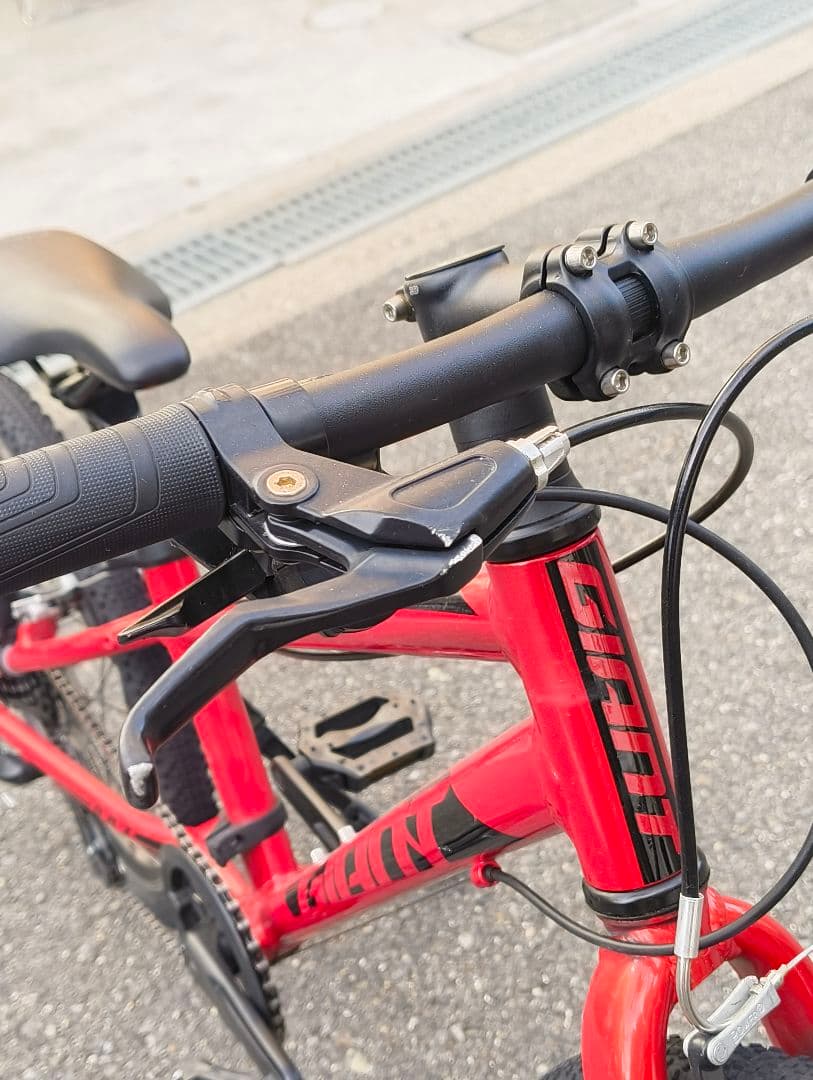 自転車本体 GIANT ARX20(2022)