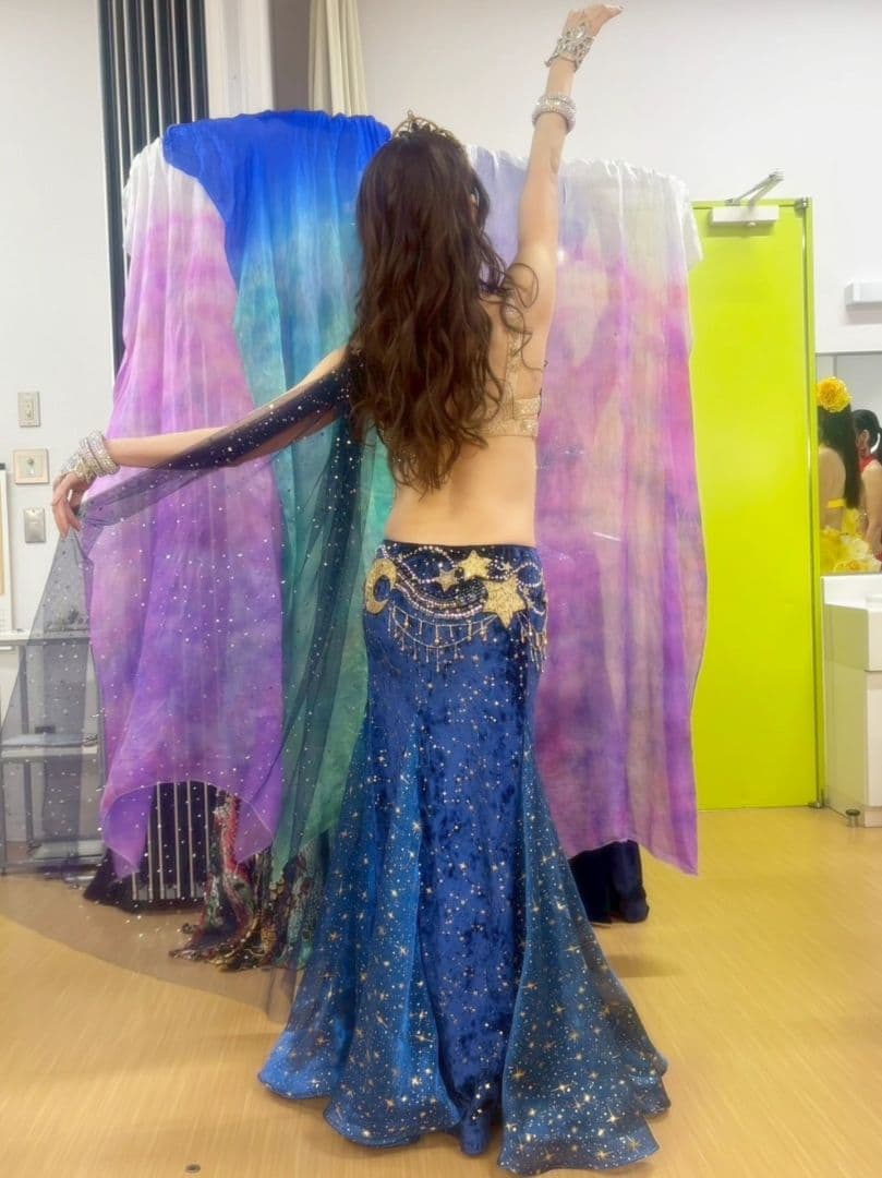 ベリーダンス衣装　ブラスカート小物など5点セット