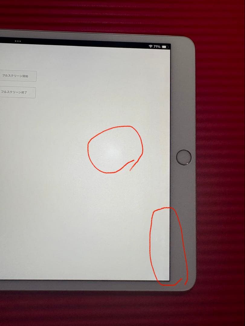 iPad Pro 10.5インチ Wi-Fi Cellular 256GB