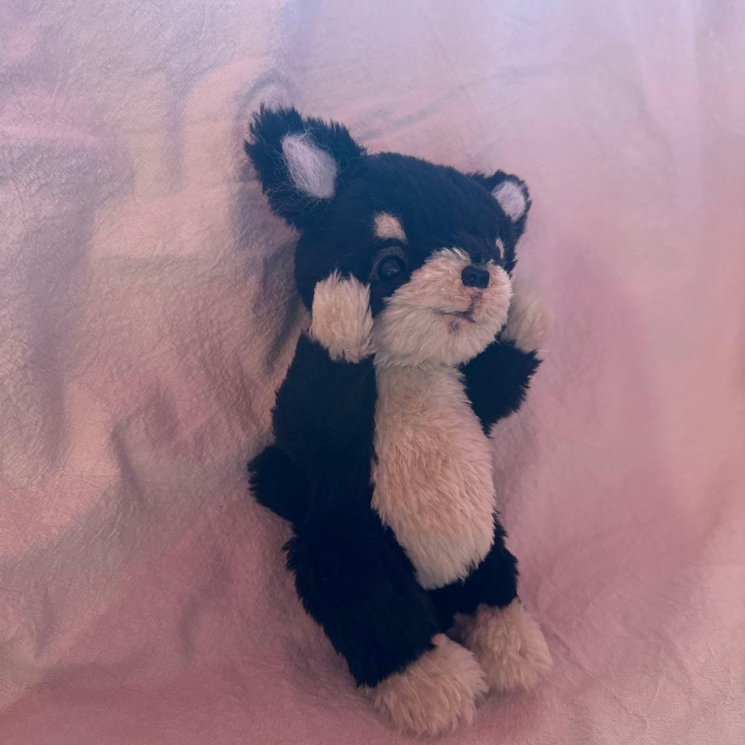 ブラックタン チワワ パピーぬいぐるみ