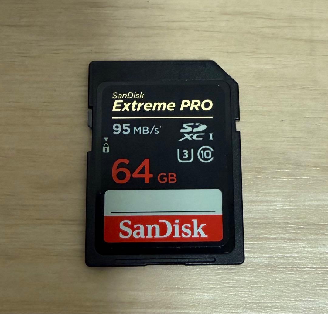 ソニー 一眼レフ α77II+DT 55-300mm F4.5-5.6 SAM