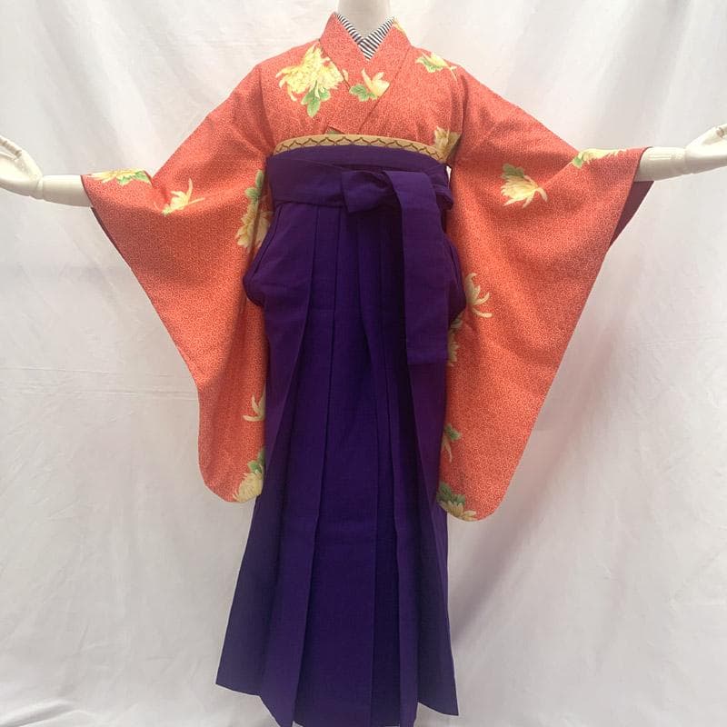 411aj33■卒業式 十三参り ジュニア 着物＆袴 菊■美品