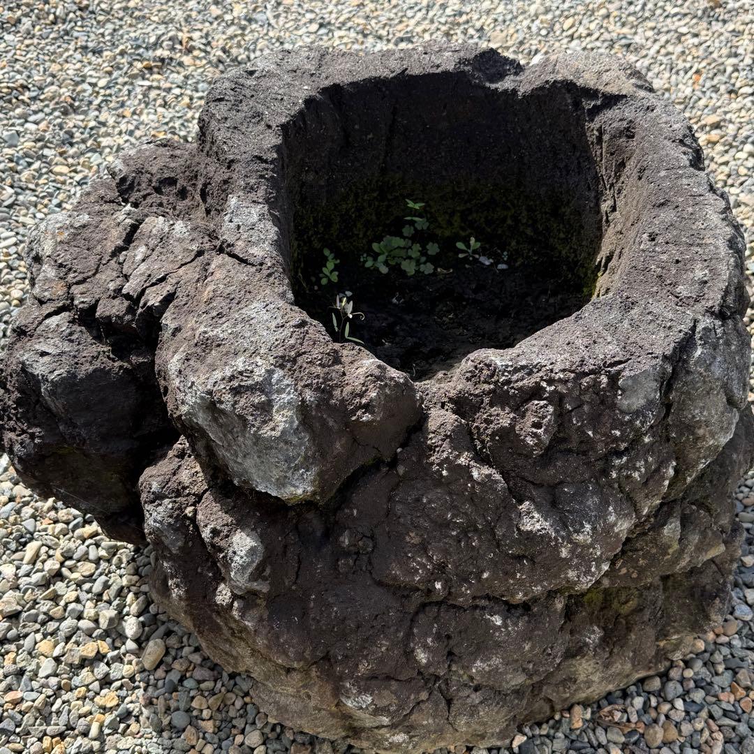 溶岩石の植木鉢、岩鉢。