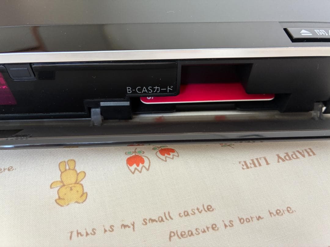 Panasonic「ブルーレイ・ディーガ」HDD 500GB・2チューナー