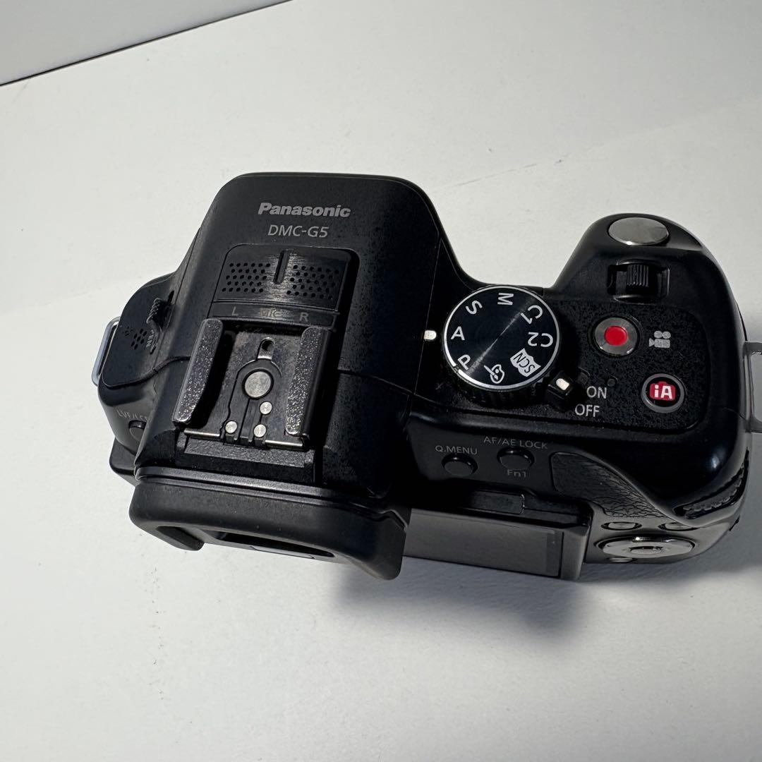 動作未確認 液晶美品 パナソニック LUMIX DMC-G5 デジタル一眼カメラ