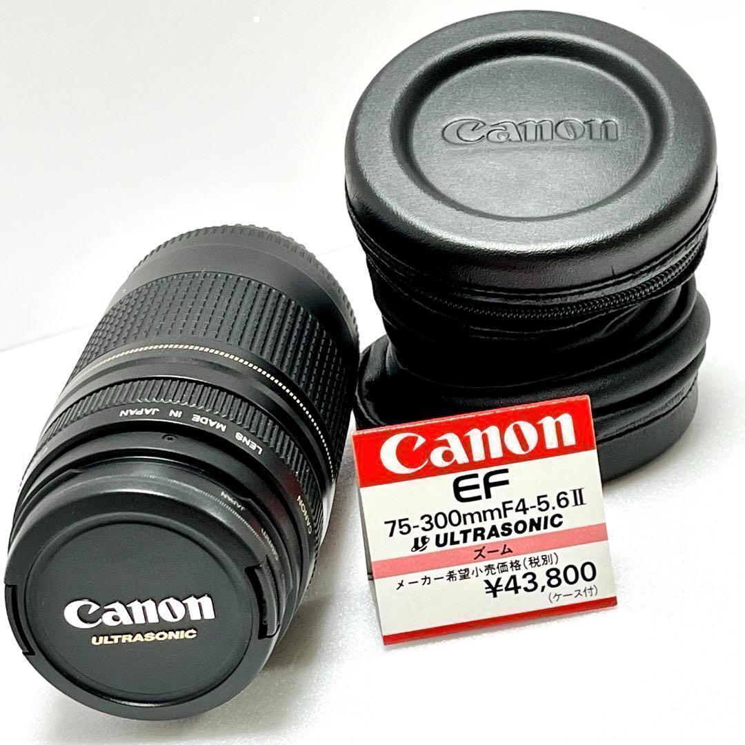 Canon キャノン EOS IX50 カメラ EF 75-300mm 一眼レフ
