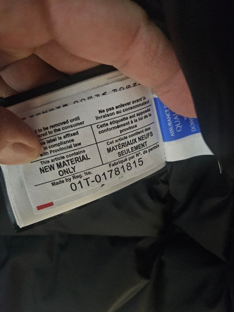 カナダグース　ジャスパー