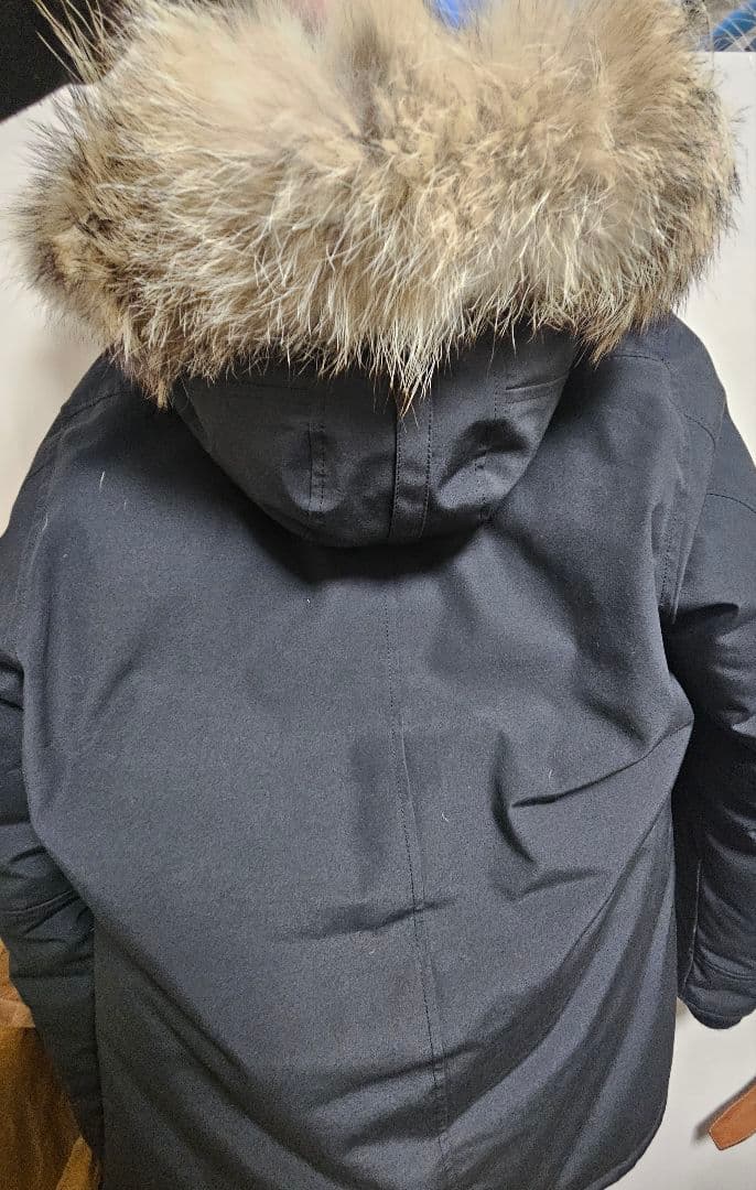 カナダグース　ジャスパー