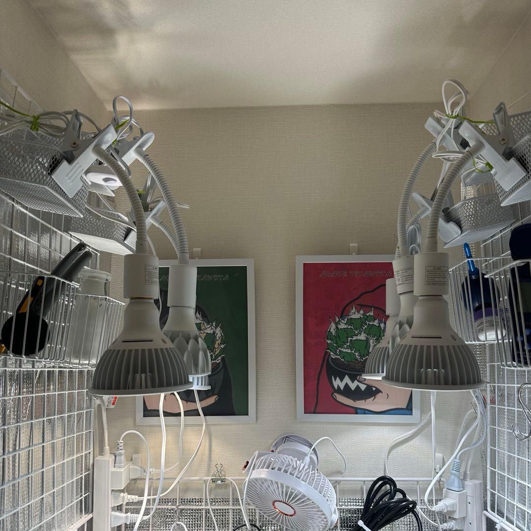 Suzukiブリム　植物育成ライトまとめて売り　お得