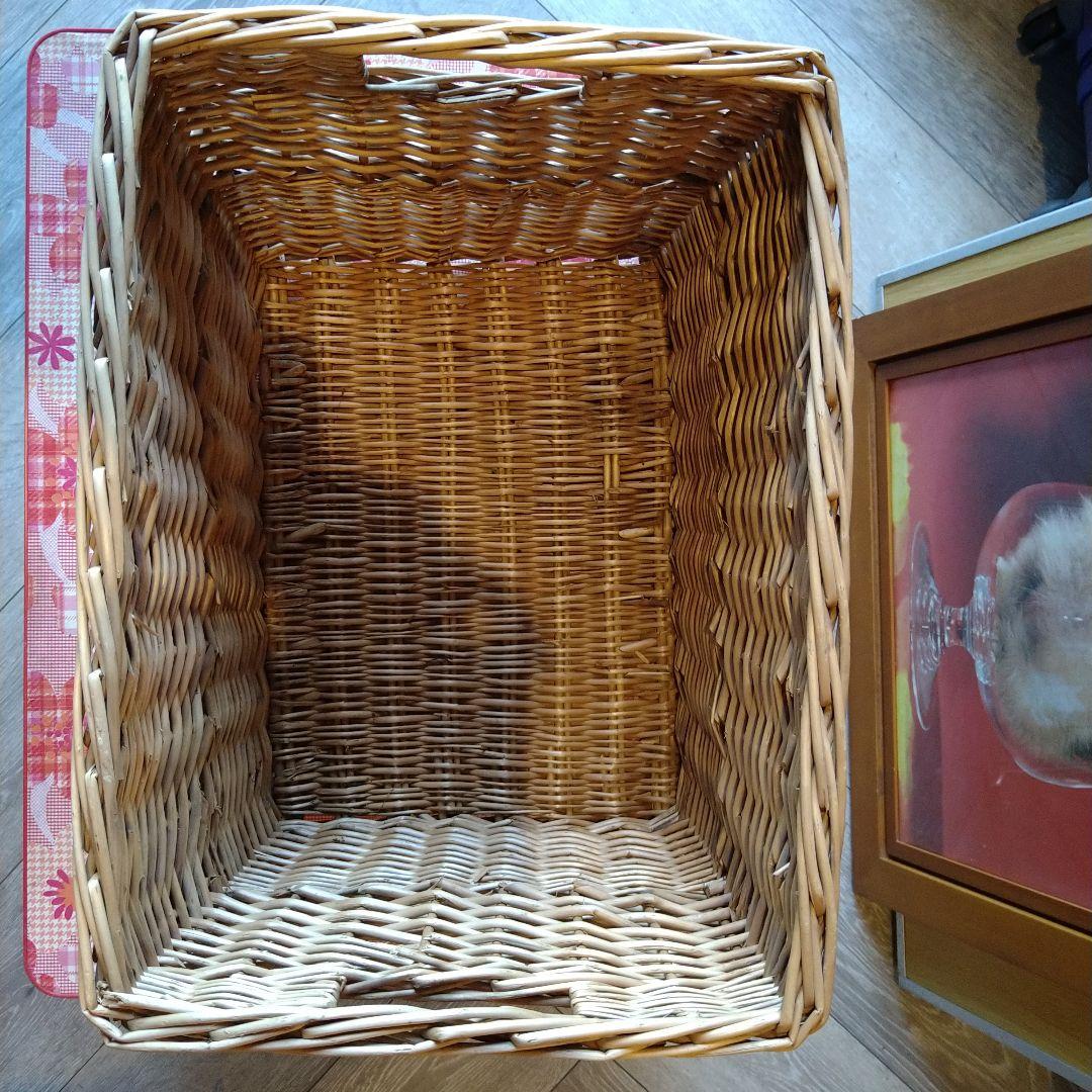 カゴ　カゴセット　カゴ3点セット