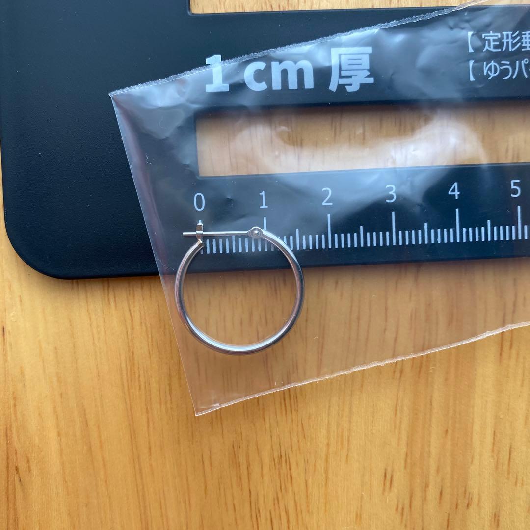 L&Co. エルアンドコー プラチナ フープピアス メンズ レディース