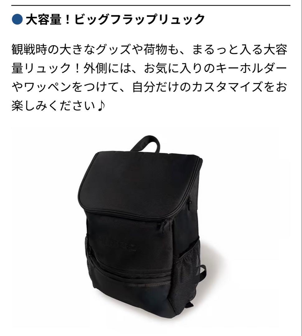 FAV会員特典 ビッグフラップリュック 圧縮ポーチ2枚入り セット