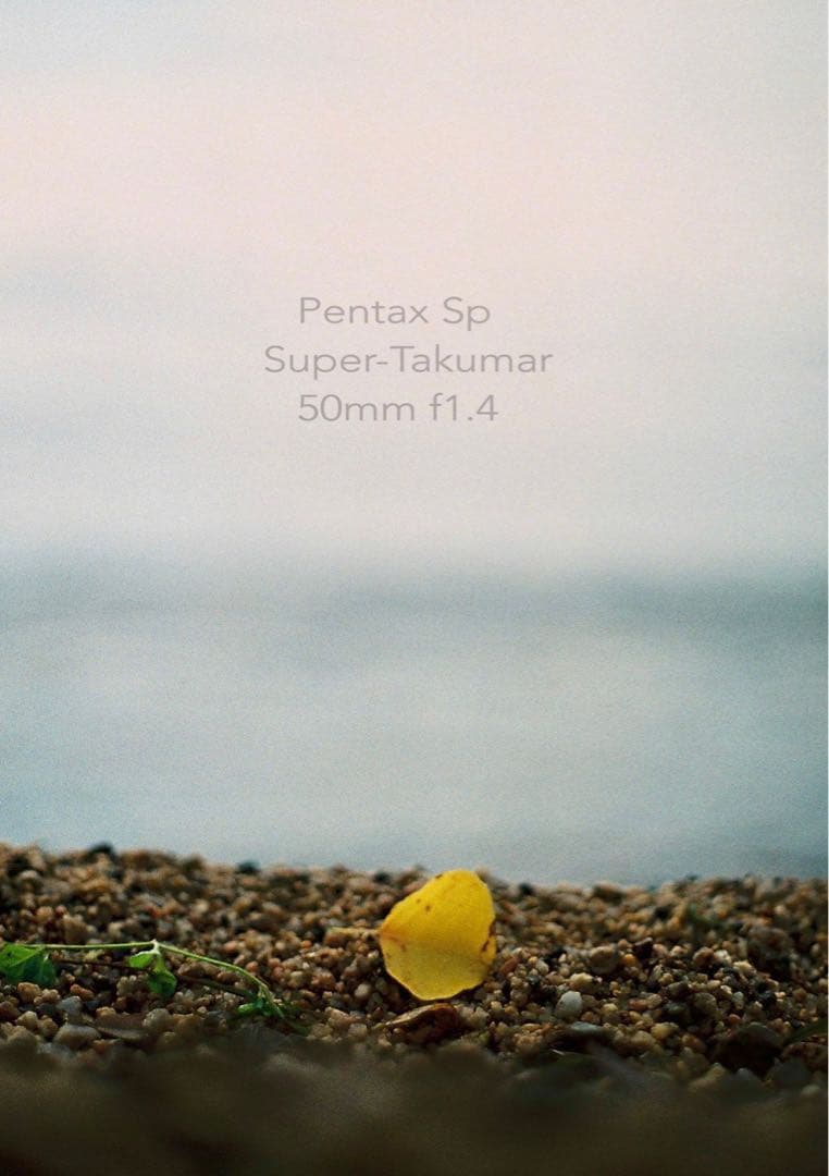 ★超美品！pentax sp ブラック/50mm f1.4 作例多数＊初期保証