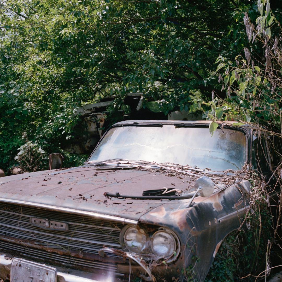 フィルムカメラ HASSELBLAD 500C/M +C80mm F2.8 +A12