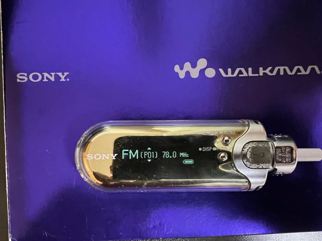 ジャンク　SONY NW-A607 デジタルオーディオプレーヤー 1GB