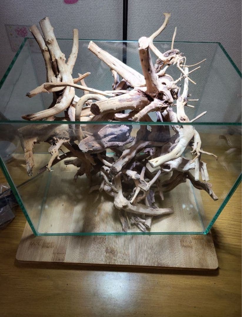 ブランチウッド　17点 まとめ品　未使用品