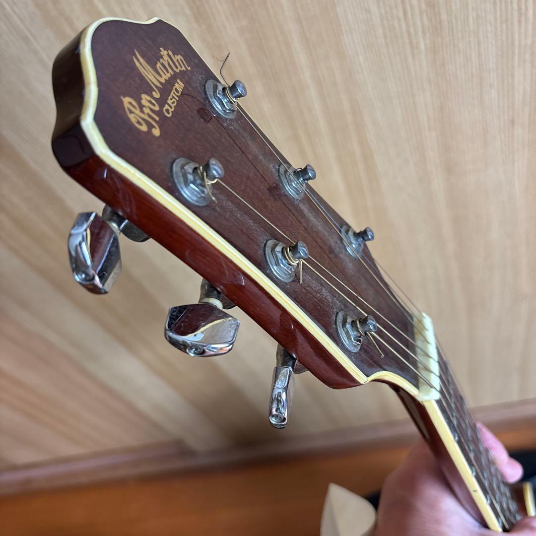 エレクトリック・アコースティックギター　Pro Martin EA500W VS