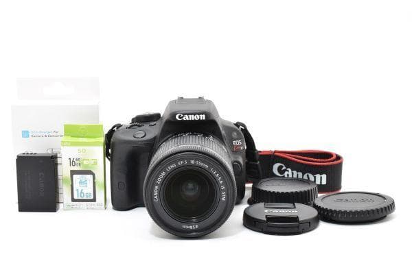 【美品】キャノン Canon EOS Kiss X7 レンズキット SDカード付