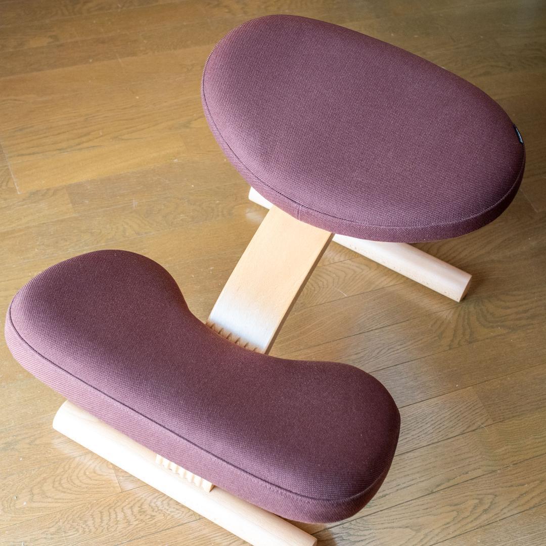 バランスイージー ショートフレーム