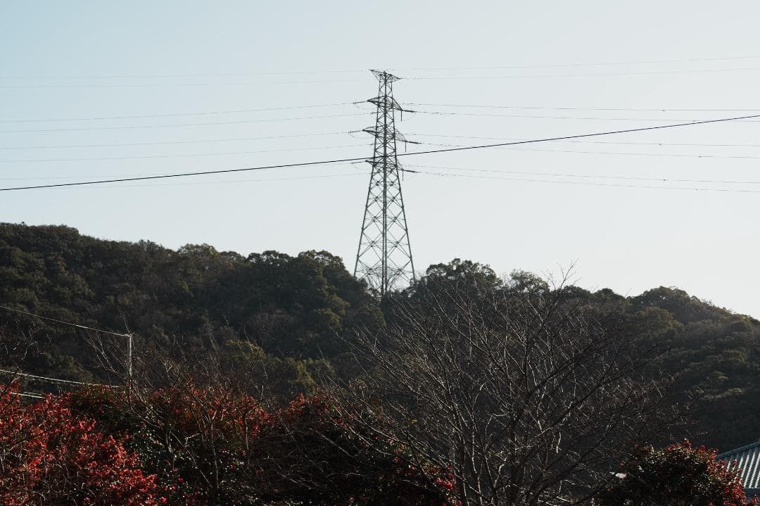 【神レンズ】オリンパス Zuiko auto macro 90mm F2 791