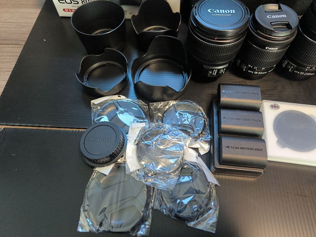 美品キャノンCanon EOS80D 付属品多数