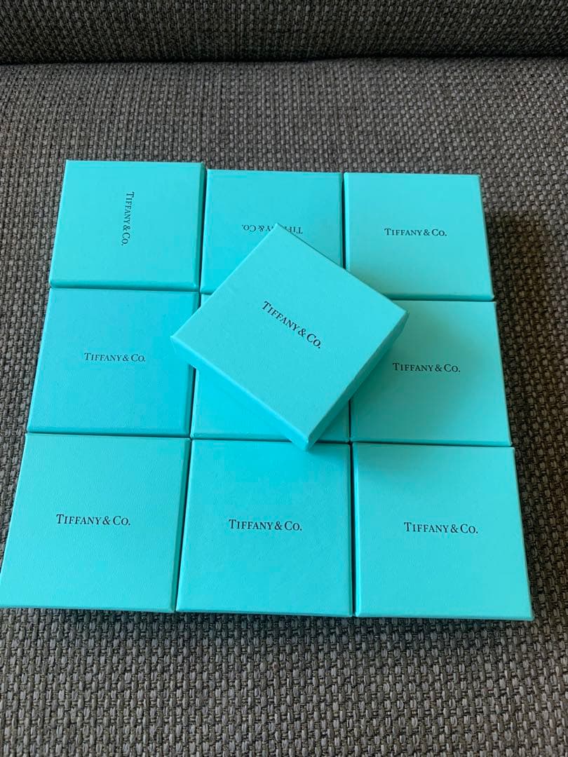 国内正方形 美品 空箱　保存袋10セット