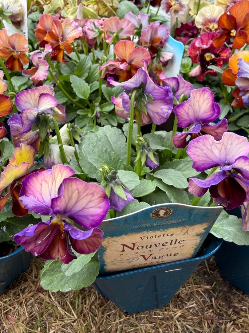 あっき様　13点