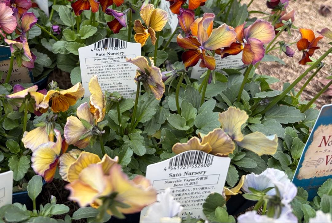 あっき様　13点