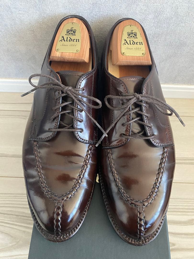 ALDEN #22220 NSTシガーコードバン　8E