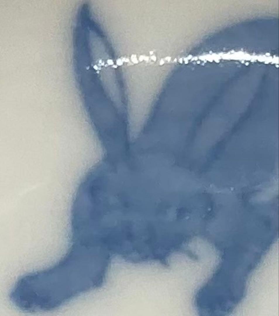 B558b 印判 兎に日の出 小皿 1枚　兎図　図変り　骨董　明治時代