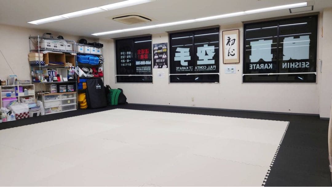 【格安】ジョイントマット　大判　白黒　10枚　空手　防音　トレーニング　衝撃吸収