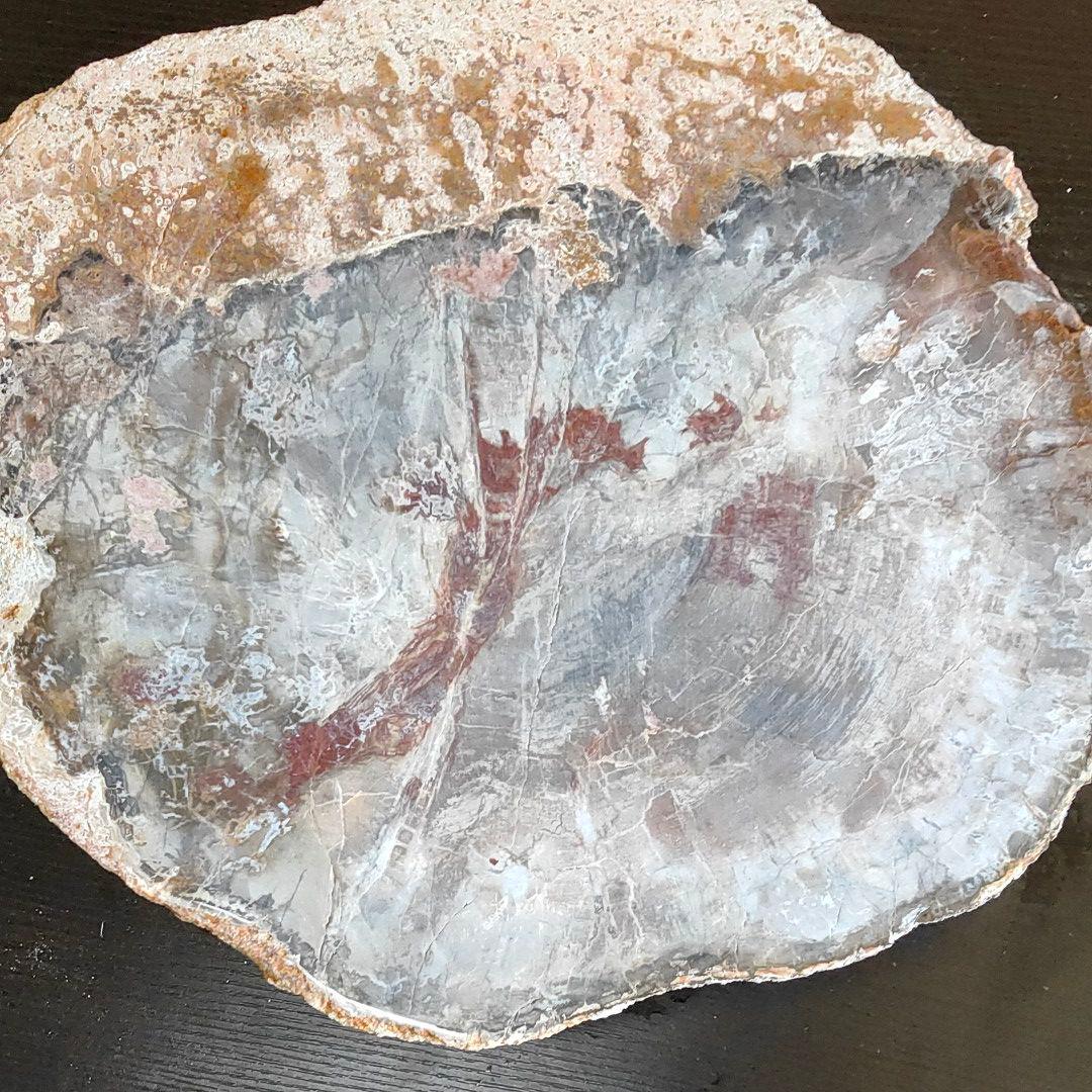 超特大の珪化木の化石です。