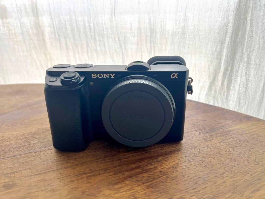 【海外仕様】SONY α6100 ミラーレスカメラ 3本レンズ付き