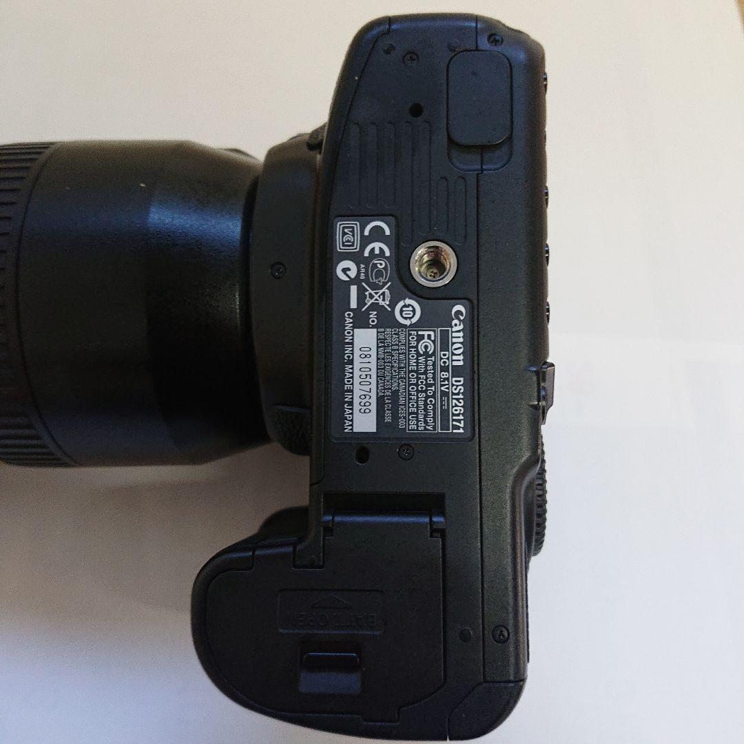 Canon EOS 40D + Tamron 70-300mm(ジャンク)