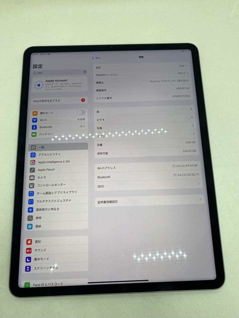 iPad Pro (12.9インチ) 第6世代 256GB FN9Q2