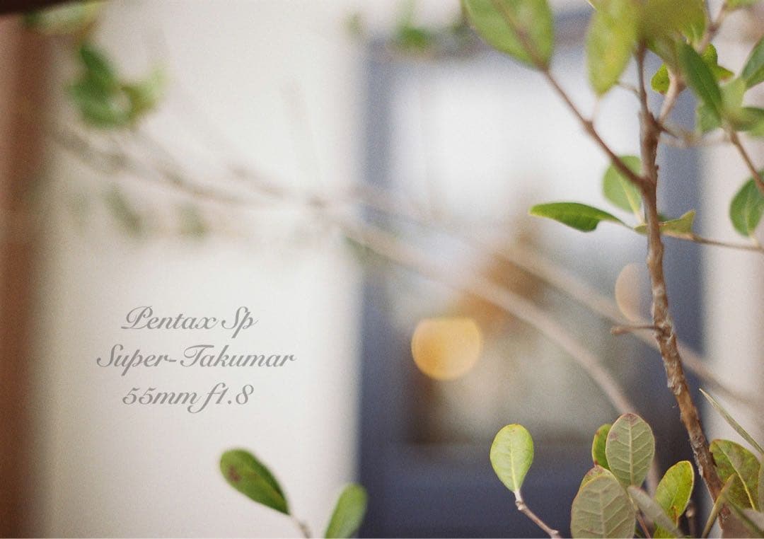 ★あっきぃ★初期保証付！pentax sp★作例多数★フィルム入門に！