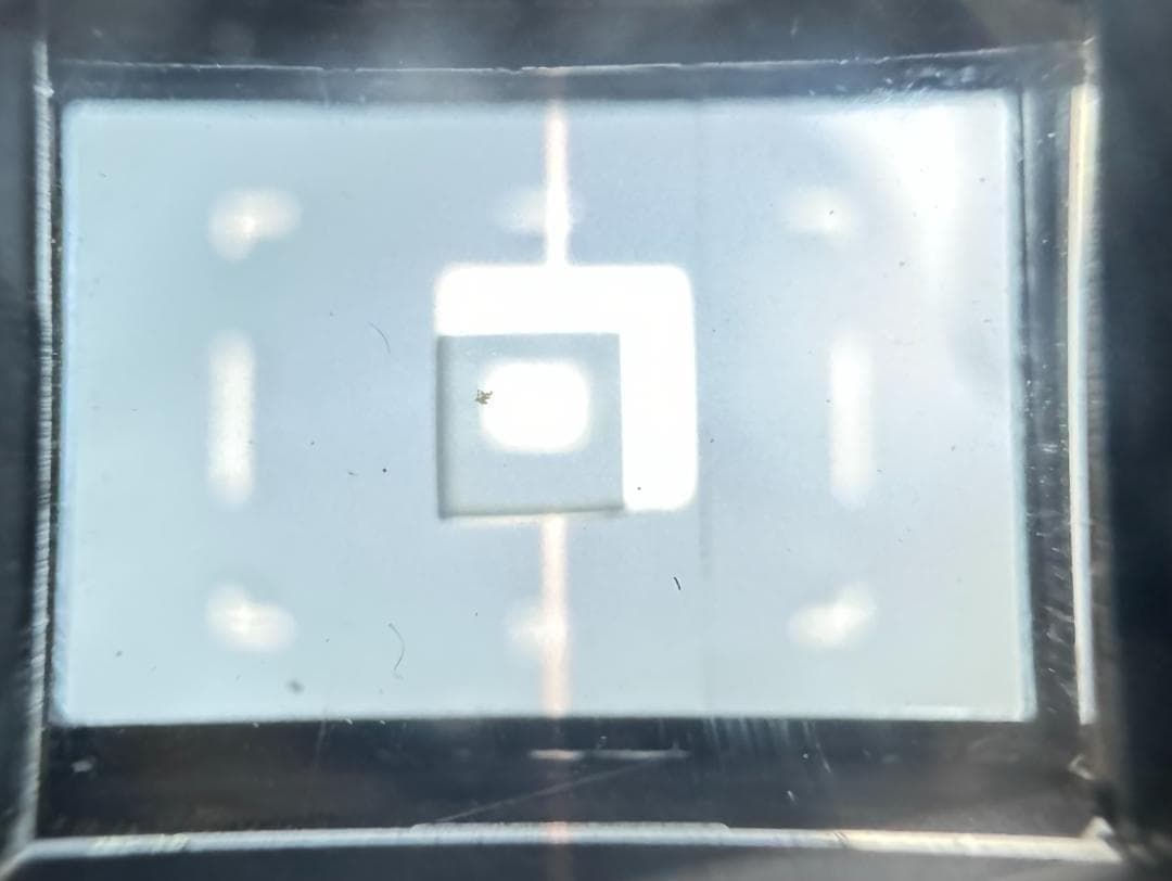 整備済 Canon 7 ボディ レンジファインダー 露出計 シャッターOK