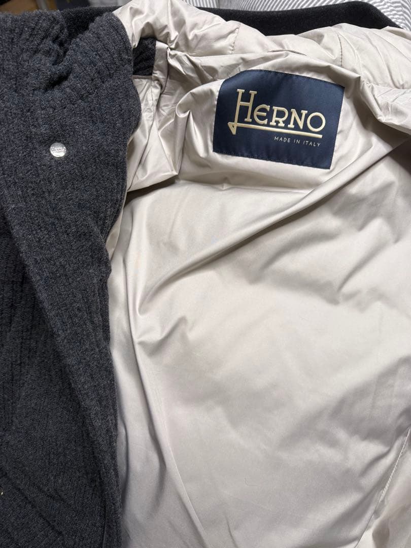 デイトナHerno ダウンジャケット