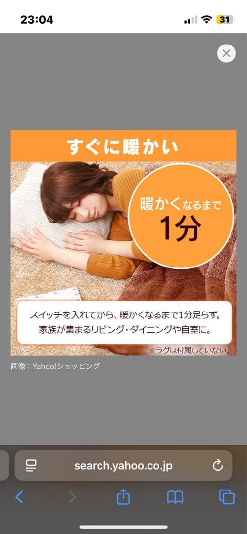 ホットカーペット　アイリスオーヤマ 2畳　新品未使用