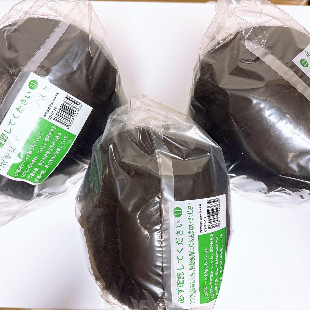 国家試験練習用　カットウィッグ